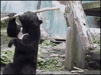 1536096134212-fbb29166a1.gif